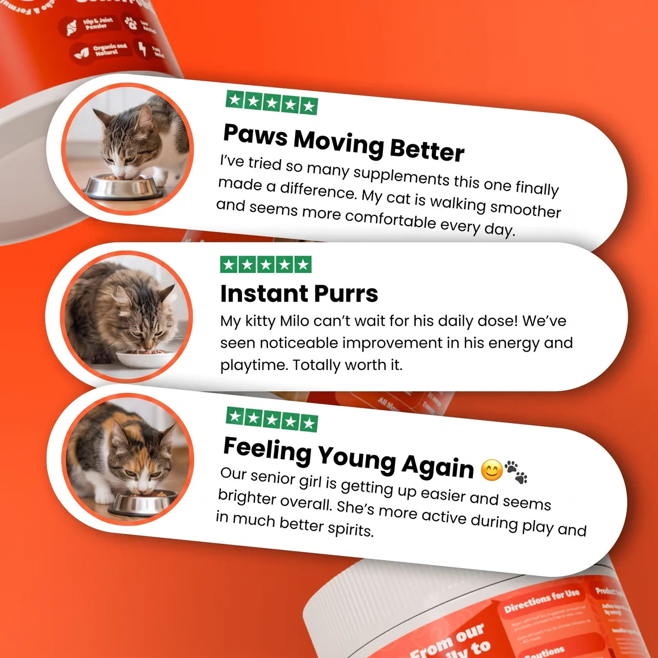 The KittyParent - Hip & Joint Powder