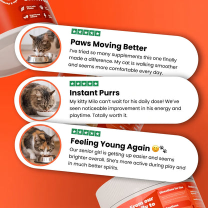 The KittyParent - Hip & Joint Powder